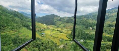 A view from a window overlooking terraced fields and hills.