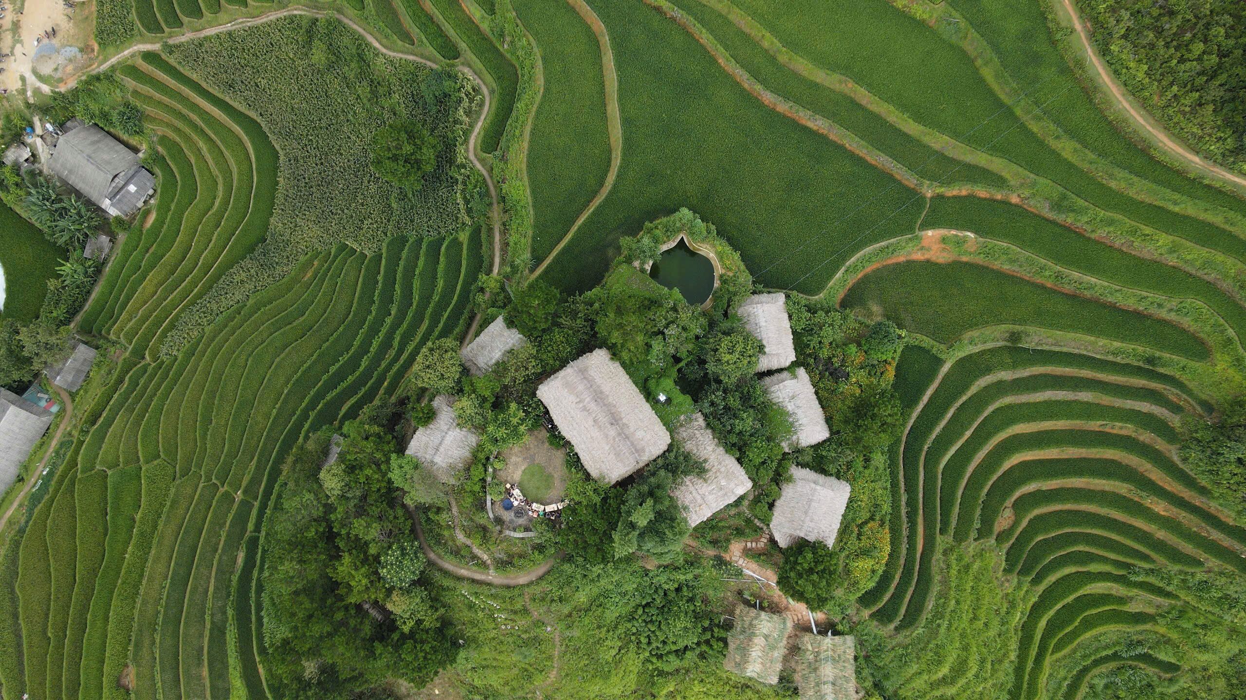 Campo de arroz em socalcos com construções tradicionais de telhado de palha e um pequeno lago.