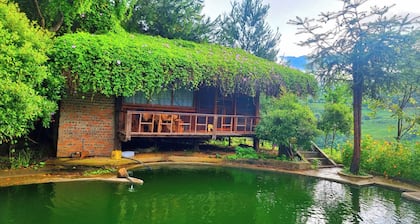 Hello Mu Cang Chai Homestay - Hostel