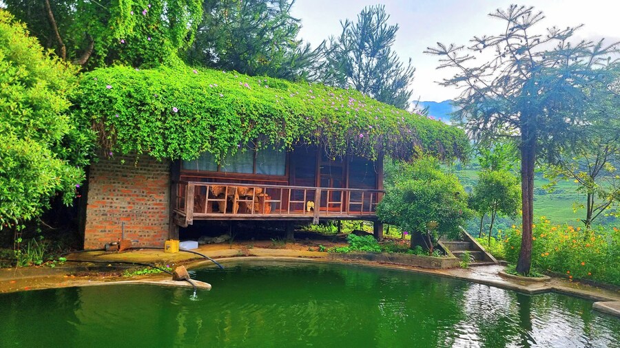 Hello Mu Cang Chai Homestay - Hostel