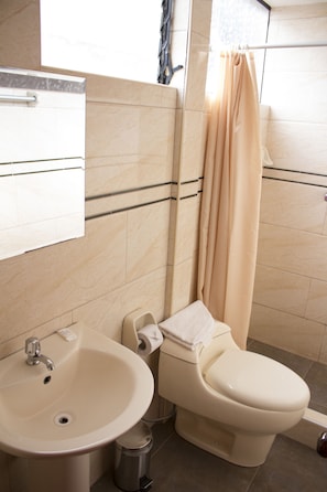 Shower, free toiletries, hair dryer