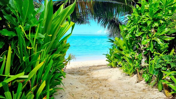 A pathway leading to a beach with clear blue water and lush greenery. - Natura Beach Pool Villa 2 (Rarotonga)
