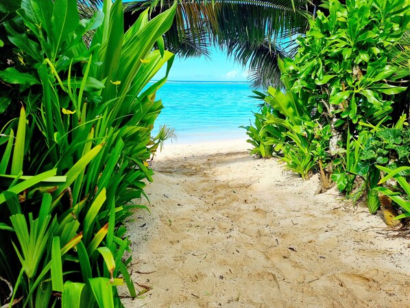 Villa Deluxe, 3 habitaciones, vistas a la playa, junto a la piscina | Exterior