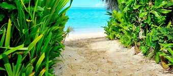 自然海灘游泳池別墅 2 號飯店