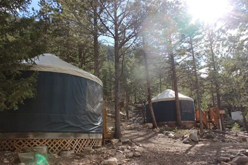 Lawson Adventure Yurts