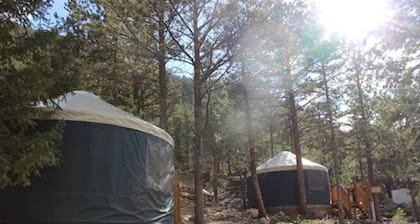 Lawson Adventure Yurts