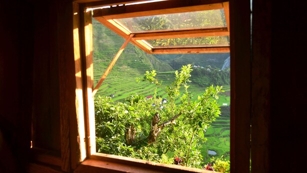 A window with a view of terraced fields and a tree. - Ramons Native Homestay and Restaurant (Banaue)