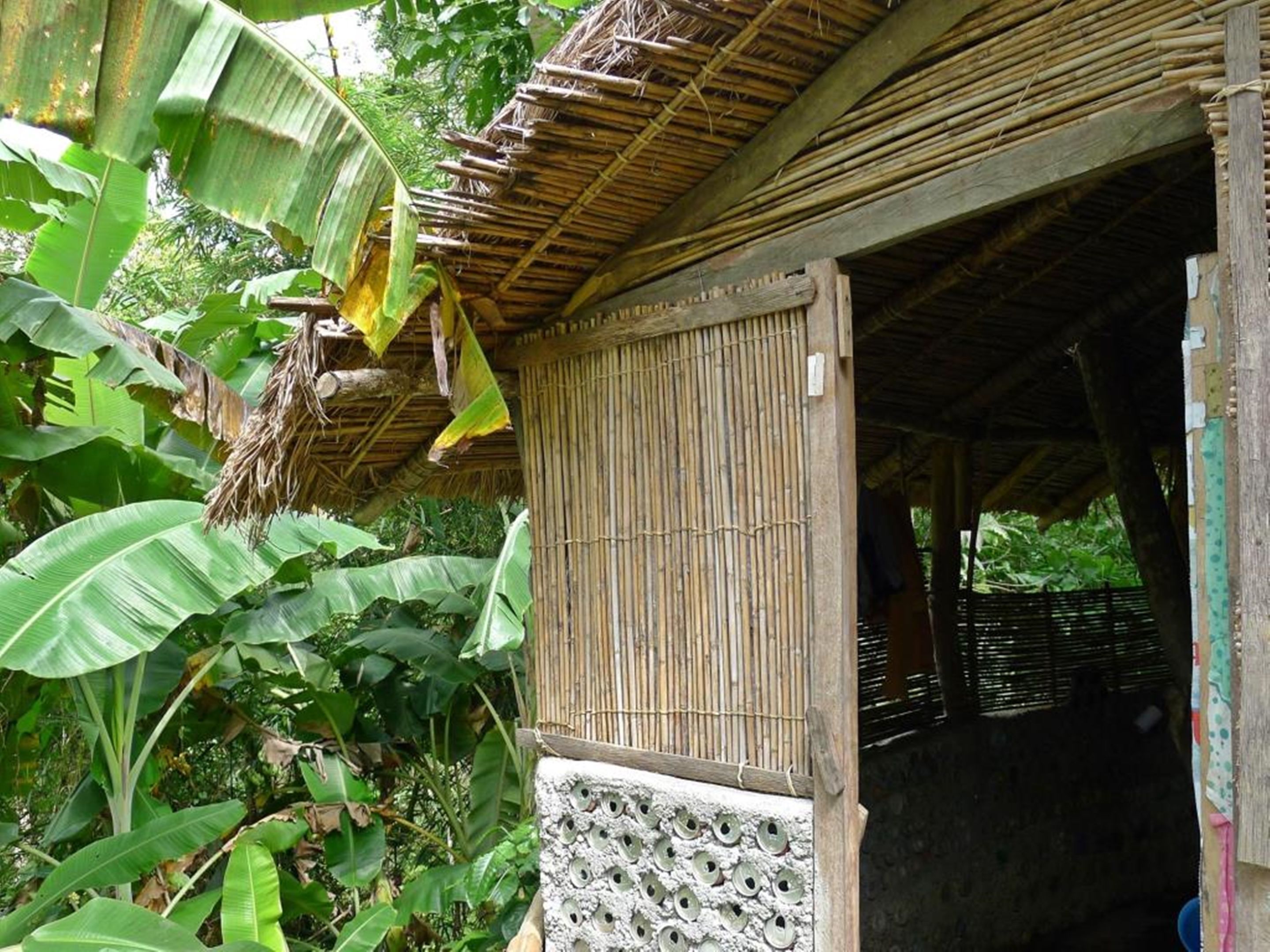 Une cabane rustique avec un toit et des murs en bambou, entourée d’une végétation luxuriante de bananiers.