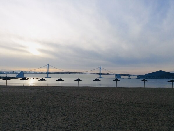 在海滩、白沙