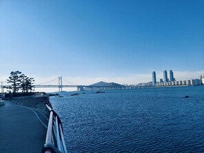 在海滩、白沙