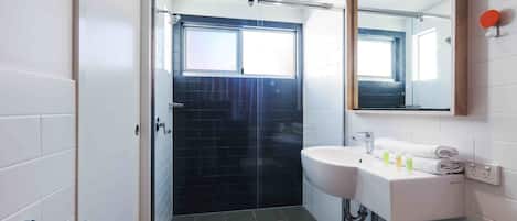 A modern bathroom with a glass shower enclosure, a white sink, and a large mirror.