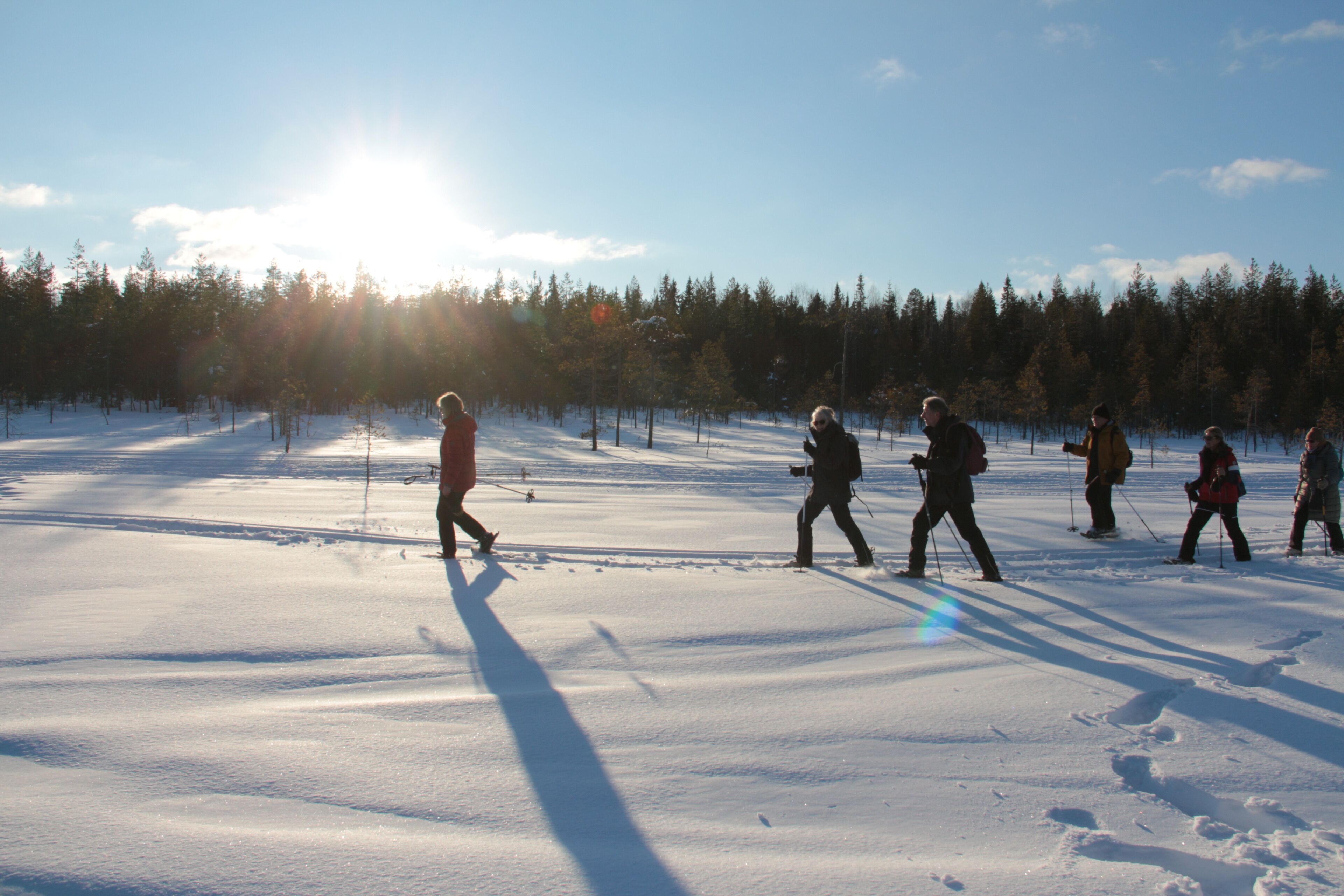 Un groupe de personnes se promène dans un paysage enneigé, avec des arbres en arrière-plan.