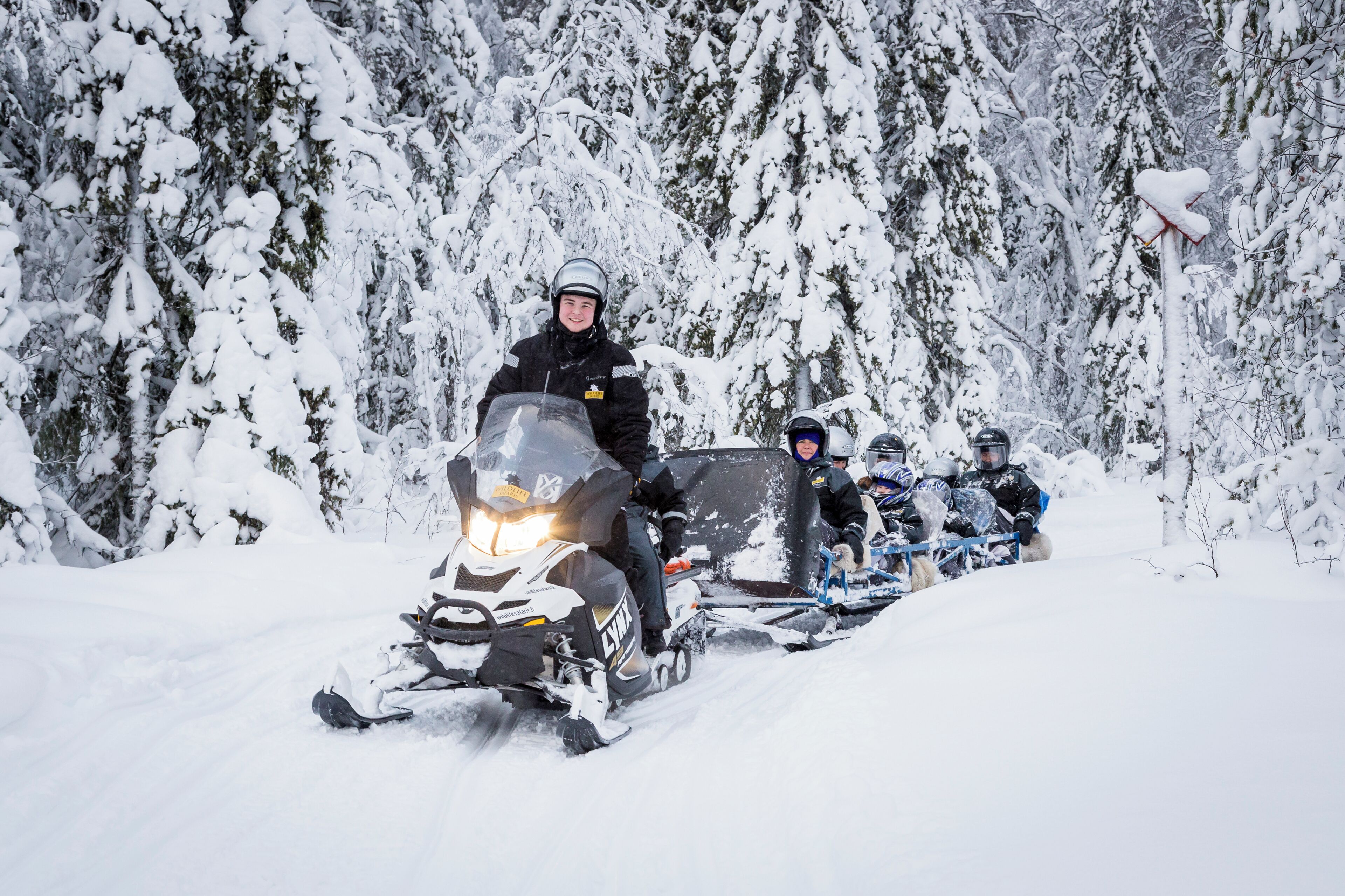A group of people on snowmobiles in a snowy forest.