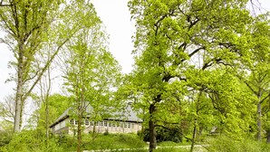 Utsikt fra overnattingsstedet