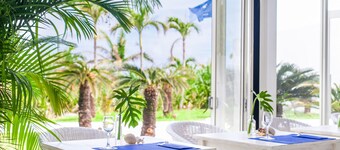 Windy Earth SILENT CLUB