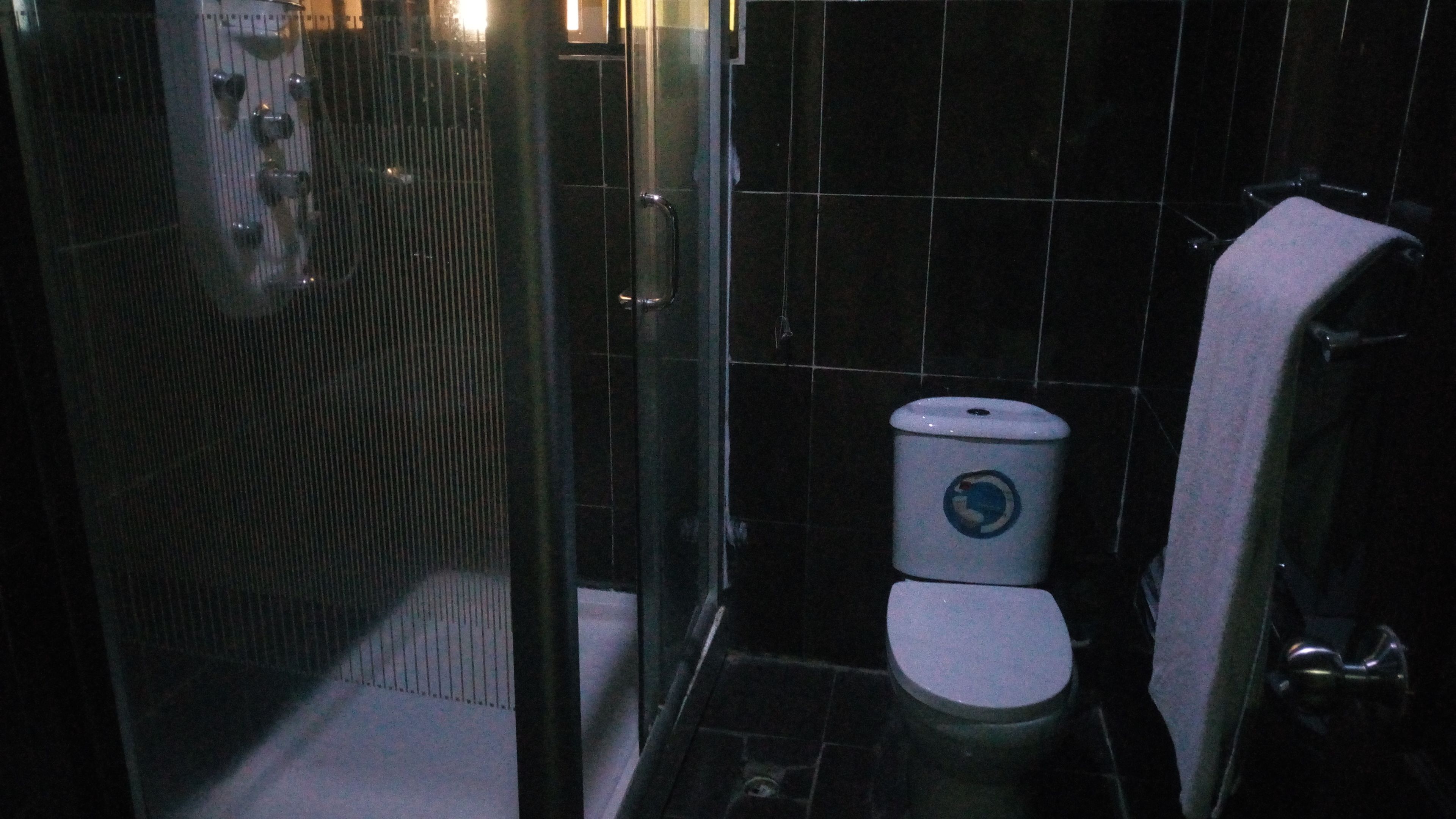 A small, dark bathroom with a toilet, a shower enclosure, and a towel hanging on the wall.