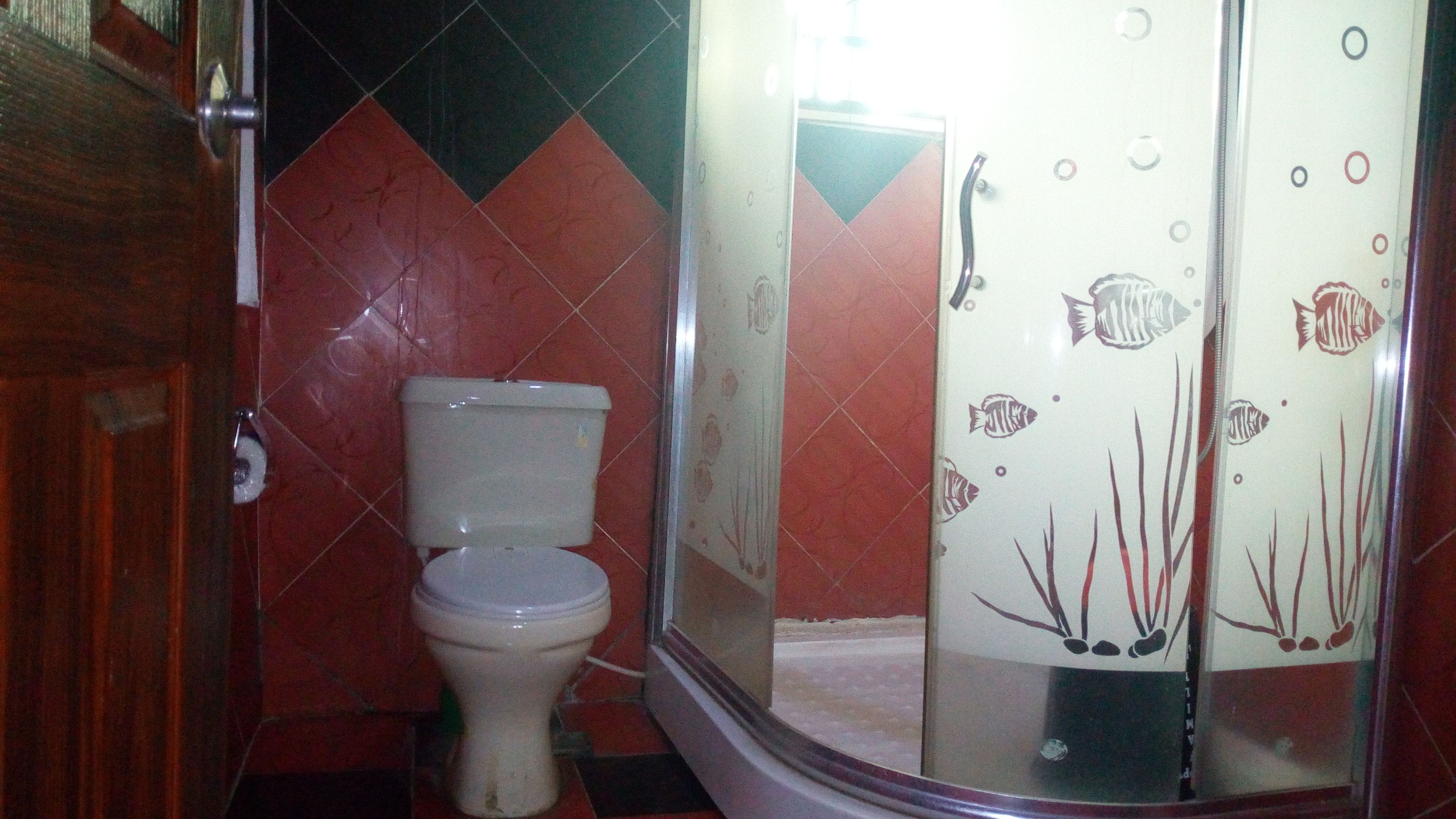 A bathroom with a toilet, a shower enclosure, and a tiled wall with a geometric pattern.