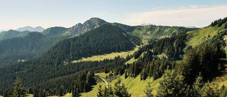 Un paisaje montañoso con bosques densos y un cielo despejado.