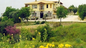 Una casa de dos pisos con balcón, rodeada de follaje y flores amarillas.