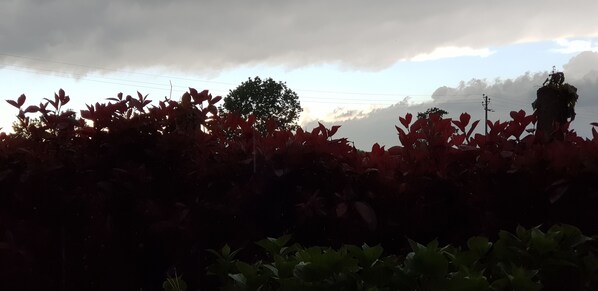 Property grounds - Cascina Moretta (Momo)