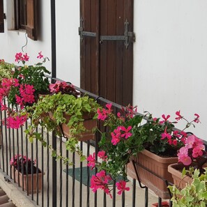Exterior - Cascina Moretta (Momo)