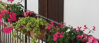Cascina Moretta
