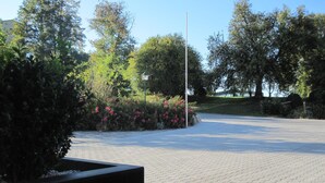 A paved area with a planter box and flowering bushes.