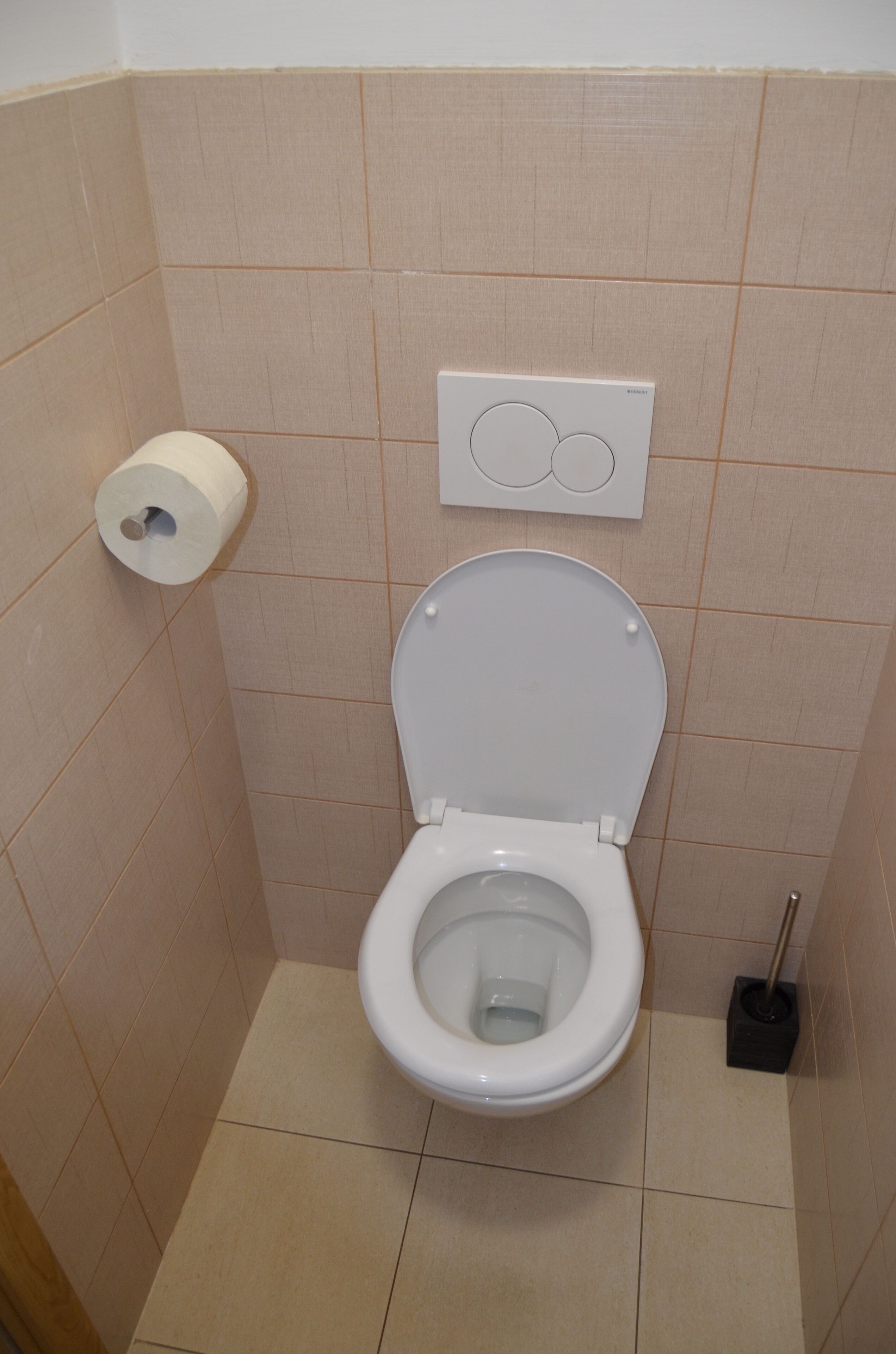 A standard toilet with a roll of toilet paper on the wall, a flush handle, and a plunger to the right.