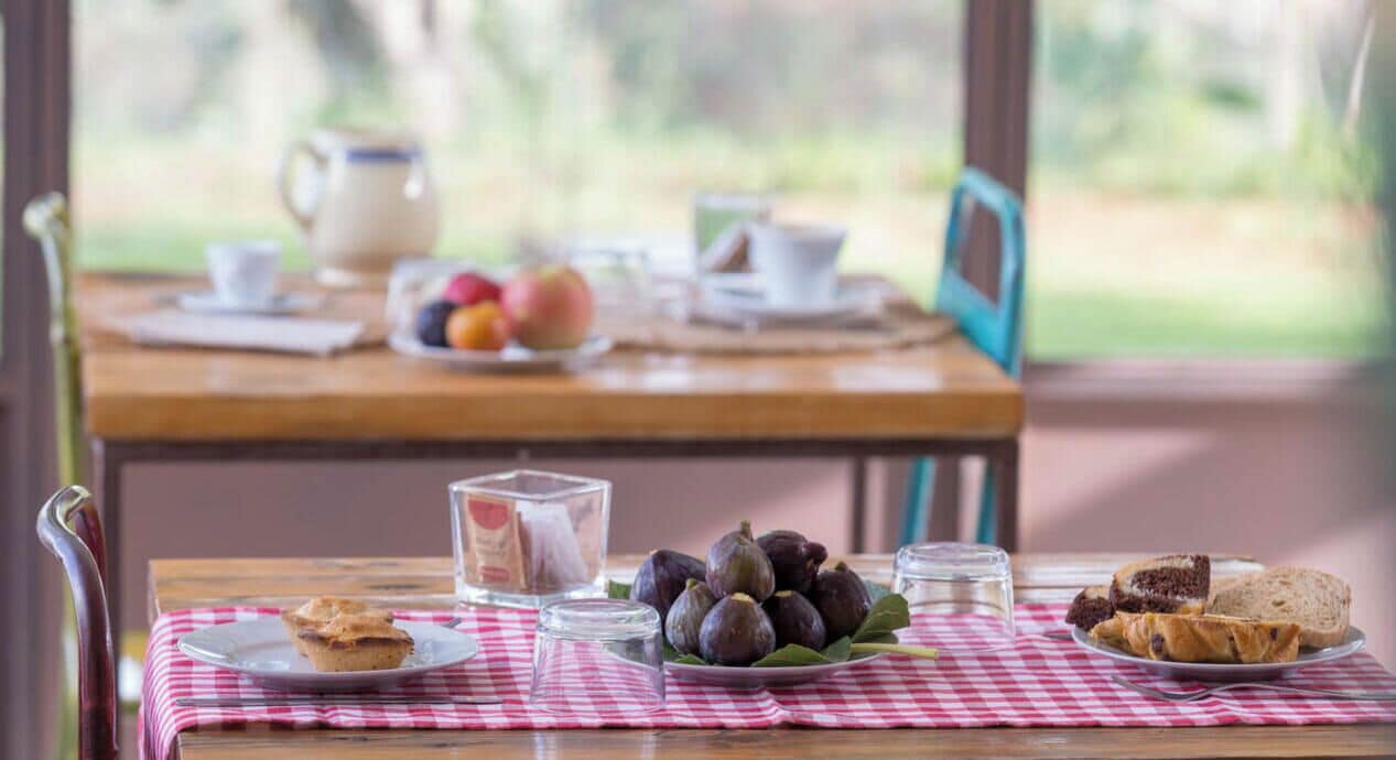 Desayuno bufé gratuito y diario
