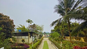 Un sendero bordeado por plantas en macetas y palmeras, que conduce a un edificio con techo verde.