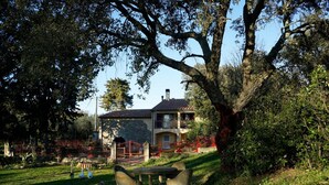 A house with a stone facade, a balcony, and a fenced yard with ducks. - Molino Della Volta (Grosseto)