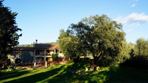 A house with a stone facade, a tiled roof, and a large tree in the yard. - Molino Della Volta (Grosseto)
