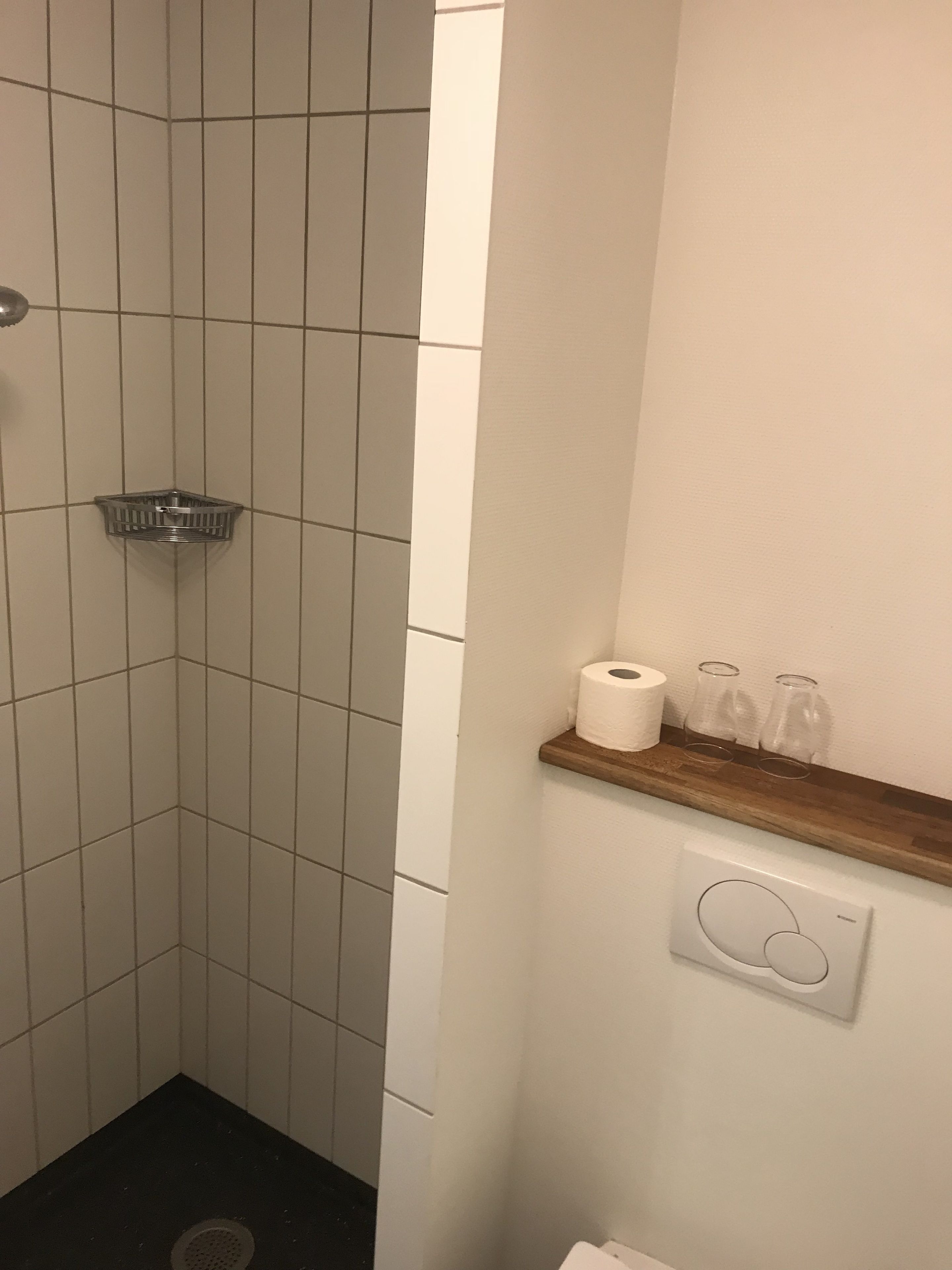 double room (regular or family) | bathroom shower