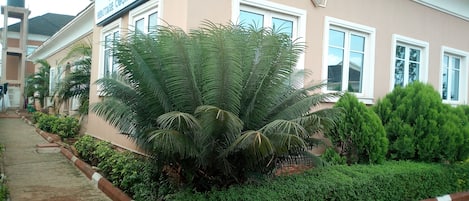 Garden view