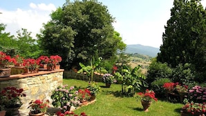 Un jardin avec des plantes en pot et un mur de pierre.