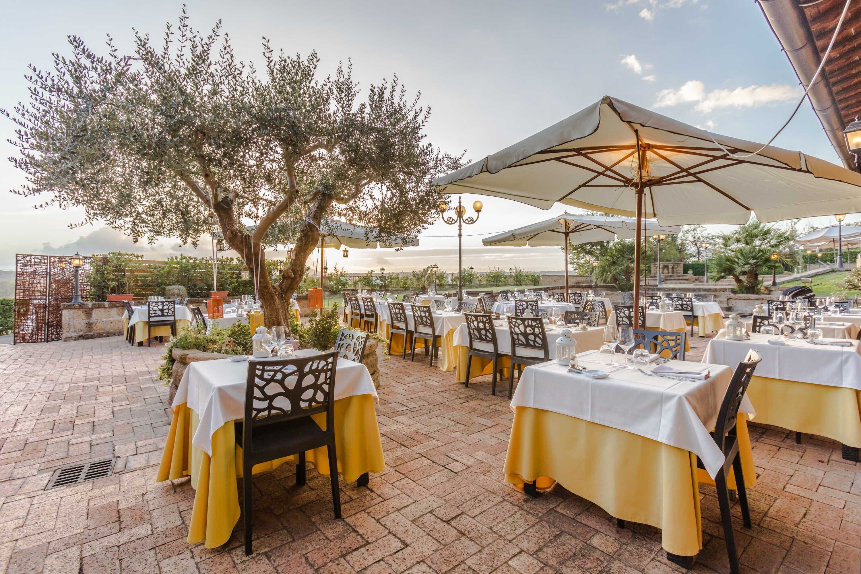 An outdoor dining area with tables set for guests, surrounded by olive trees and covered by large umbrellas.