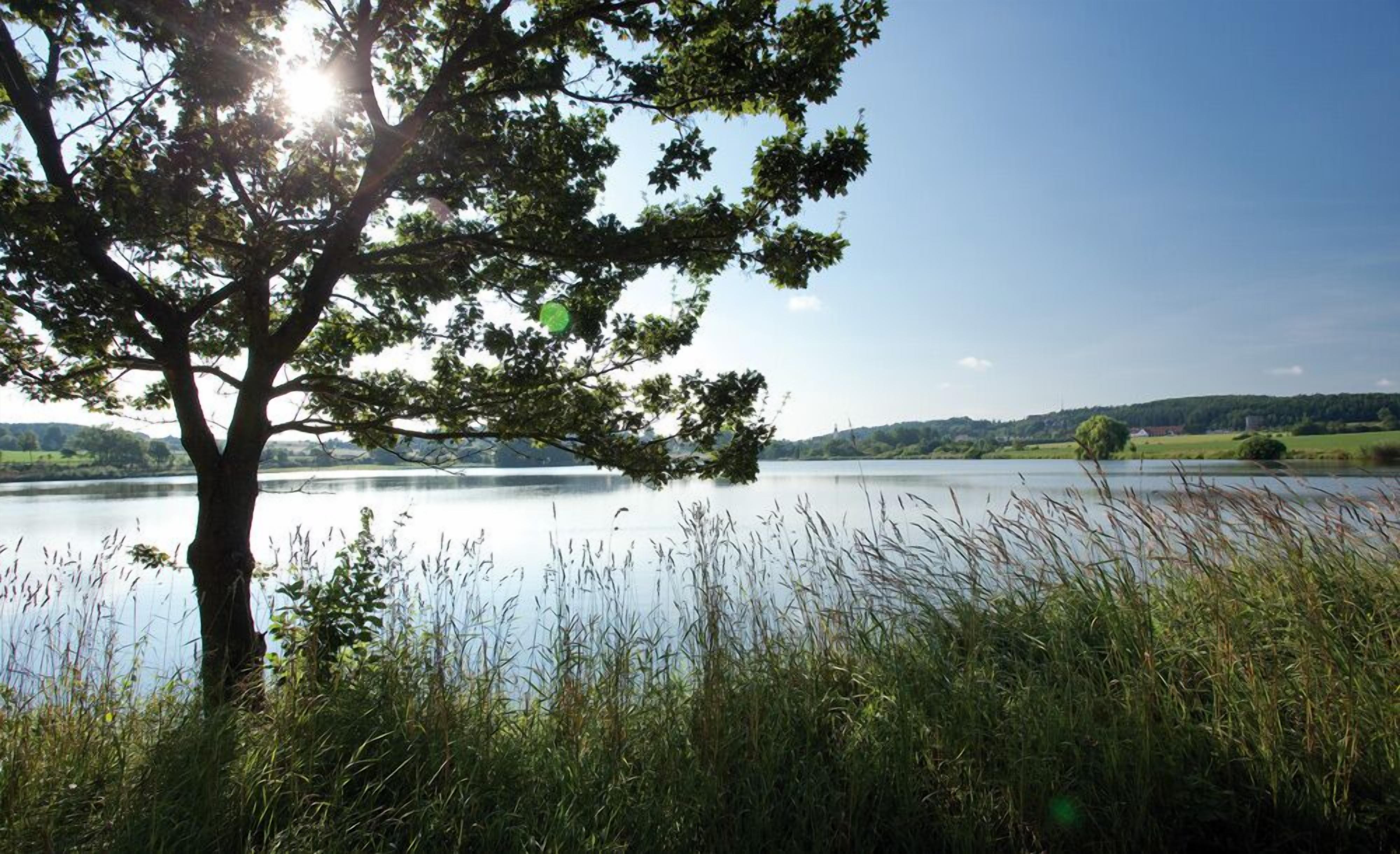 A lake with a tree in the foreground and a clear sky.