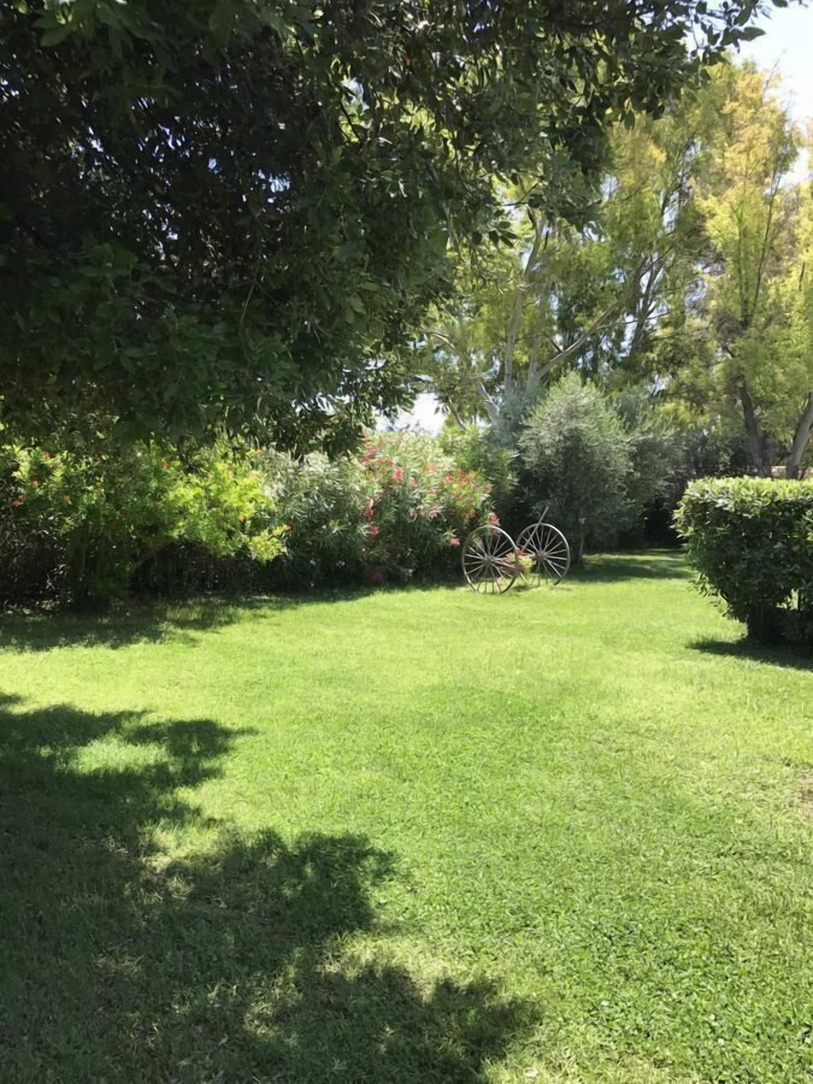 A well-maintained grassy area with a vintage bicycle, surrounded by dense foliage and trees.