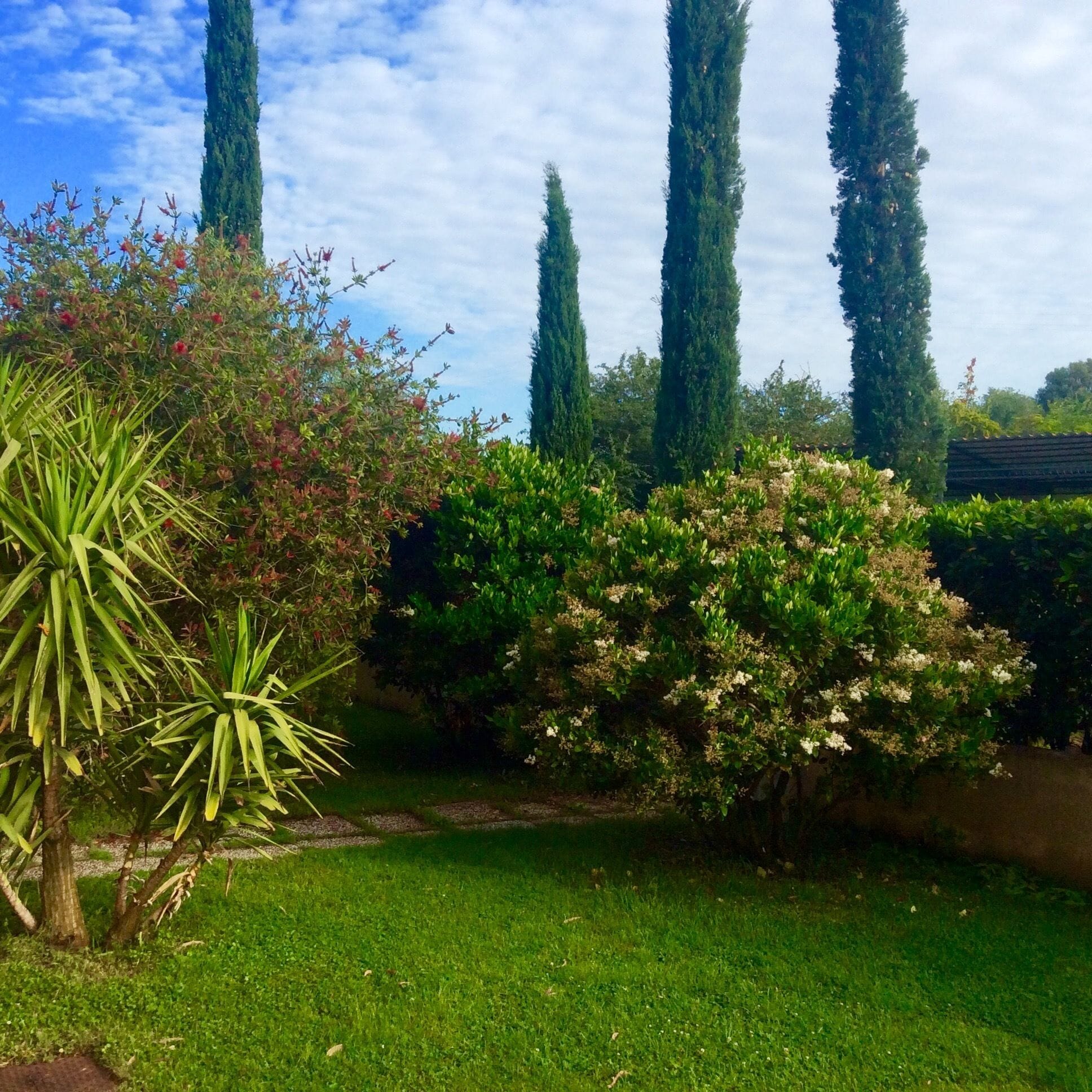 Ein gepflegter Garten mit verschiedenen Sträuchern und einer Rasenfläche.