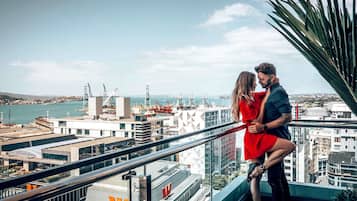 2 bars/lounges, rooftop bar
