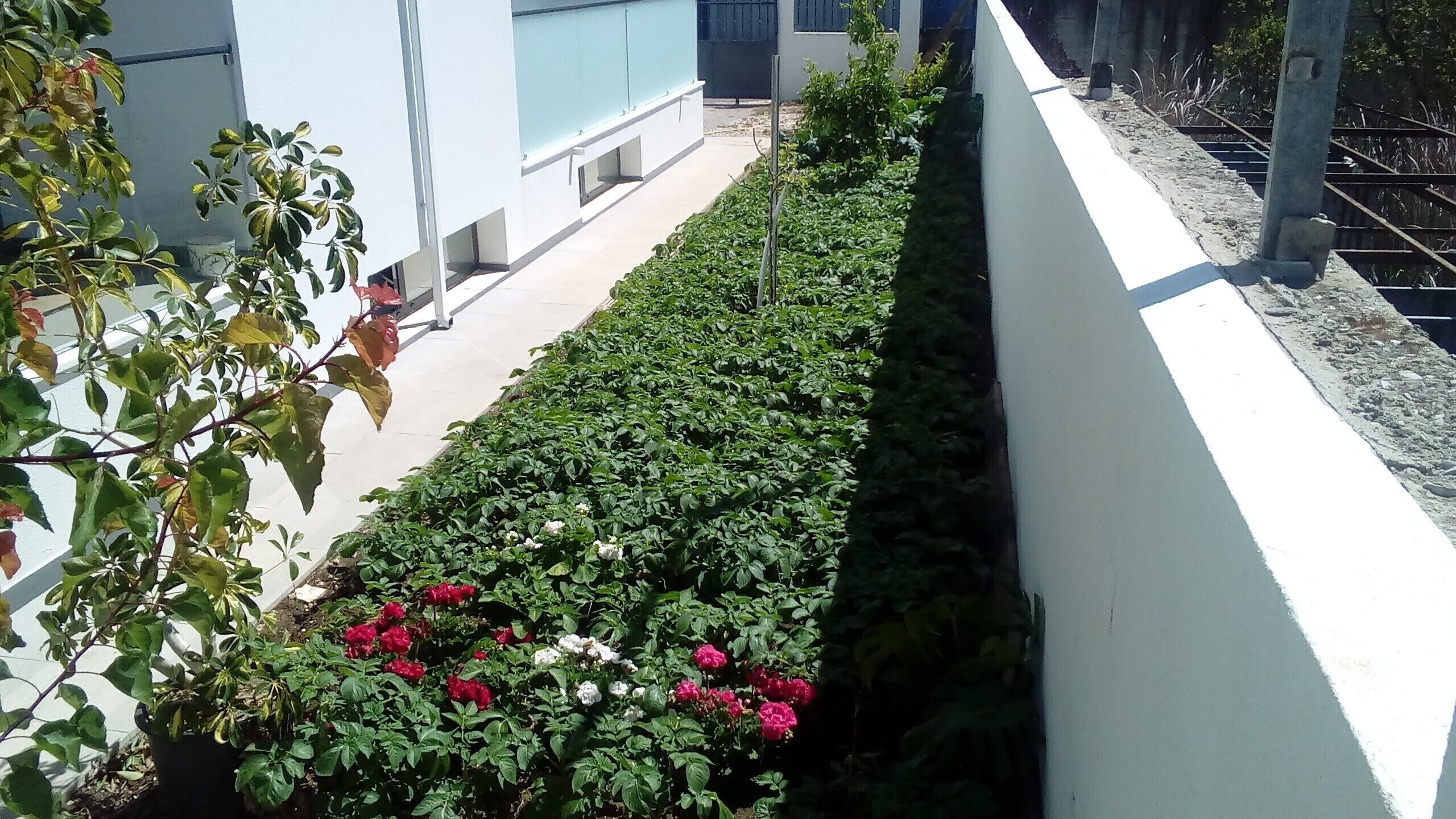 Photo - Pousada Tires Guest House