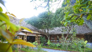 A traditional thatched-roof building with a garden pathway and outdoor seating area. - Trang An Bungalow (Tay Hoa Lu)