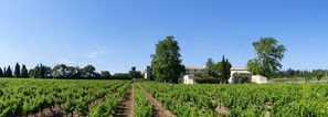 Àrea exterior de l'allotjament