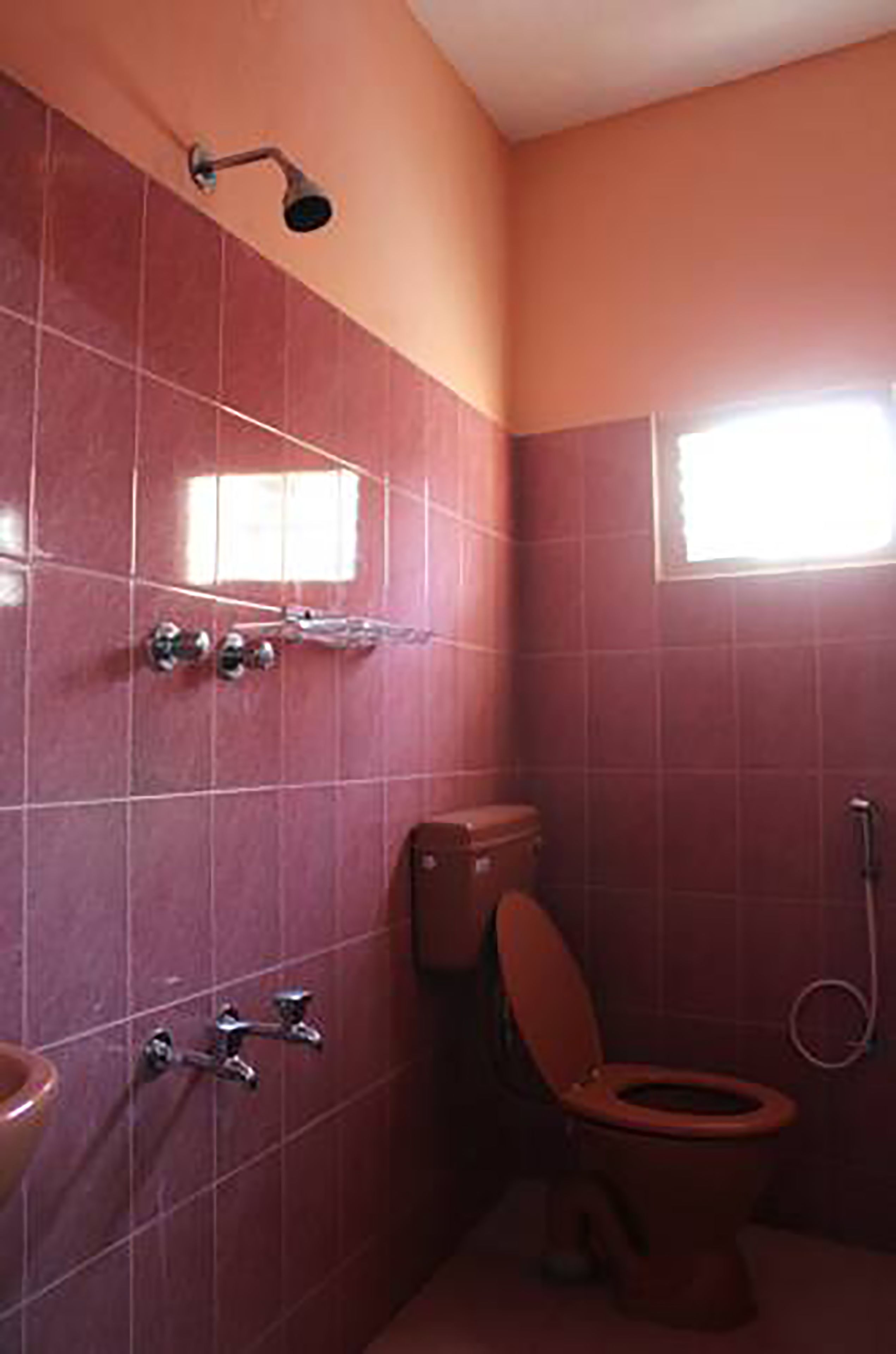 A bathroom with red tiles, a toilet, a showerhead, and a window.