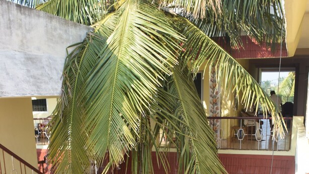 A multi-story building with a palm tree in the courtyard, a laundry service sign, and a small kiosk. - Vinodhara Guesthouse (Tirukalukundram)