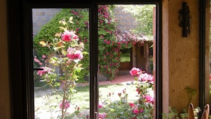 A view through a glass door with a garden featuring pink roses and a stone wall. - Agriturismo Solidor (Pitigliano)