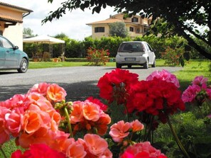 Garden - Villa Etruria Guest House (Pitigliano)