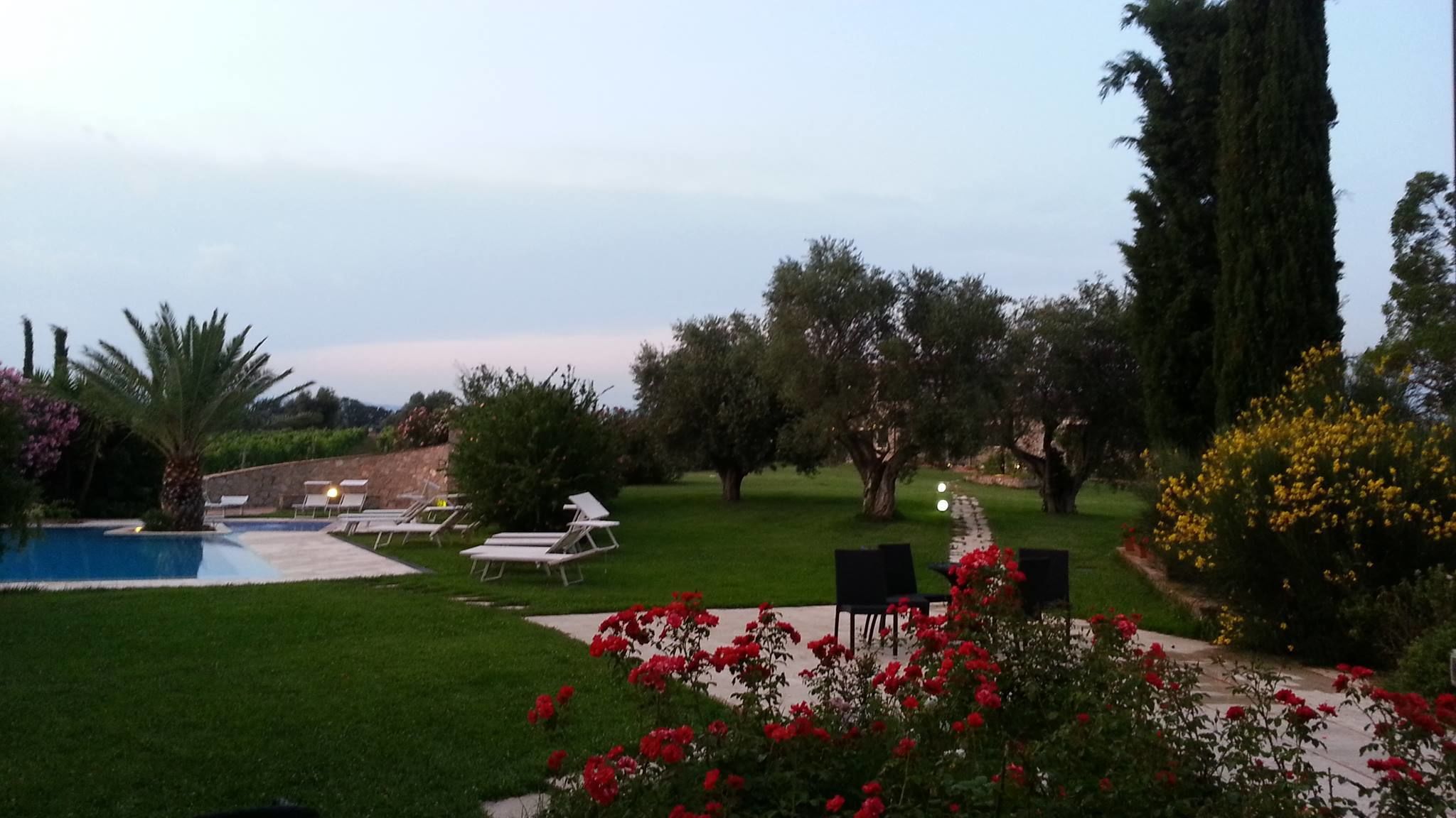 A backyard with a swimming pool, lounge chairs, and a garden with red flowers.