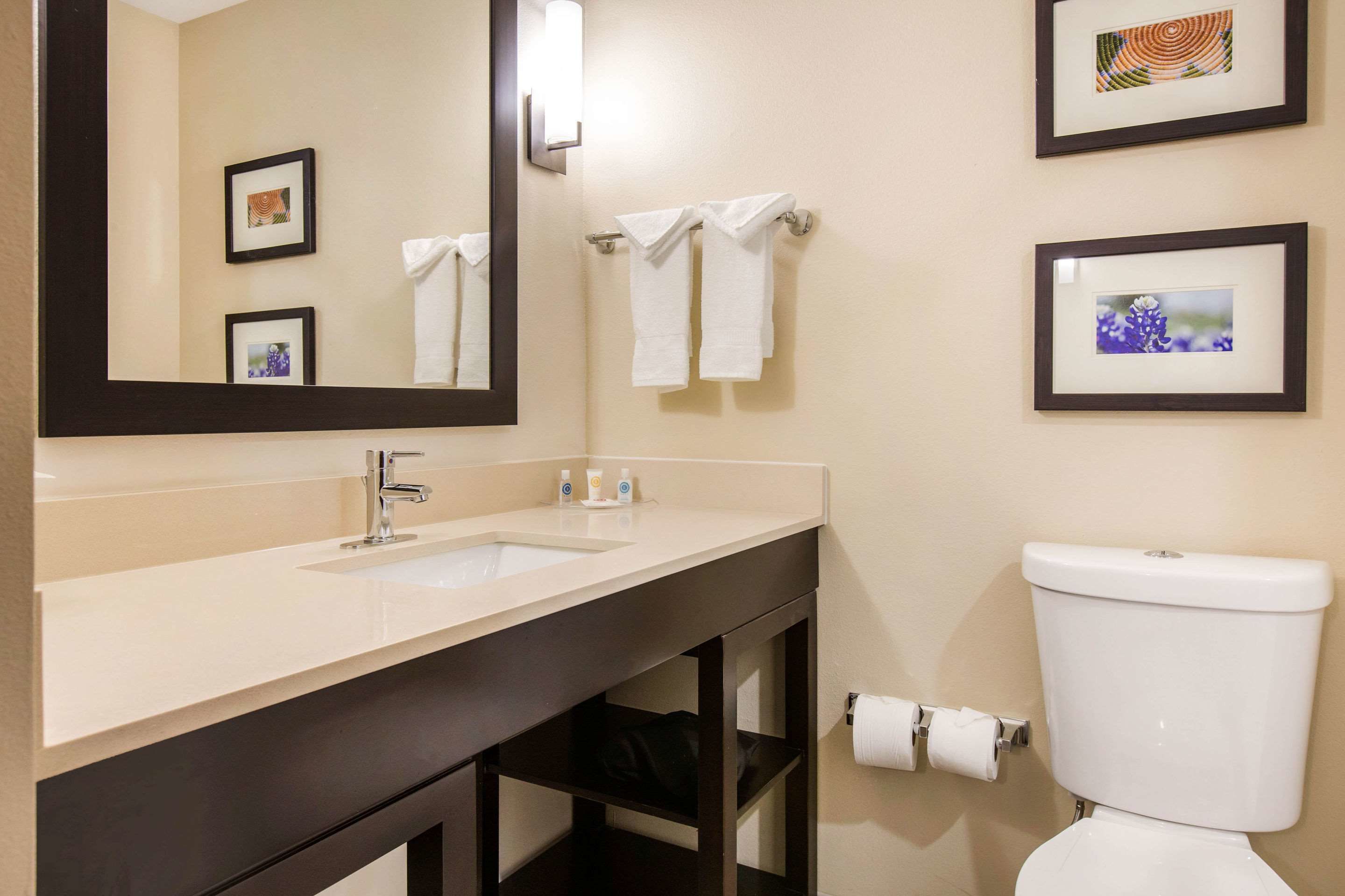 suite, 1 king bed, non smoking | bathroom | free toiletries, hair dryer, towels