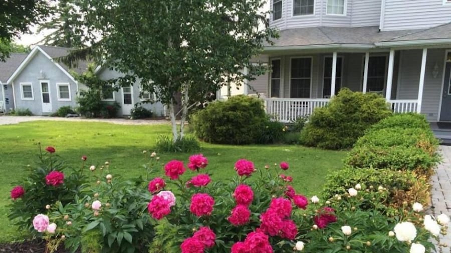 The Pavilion at the Park